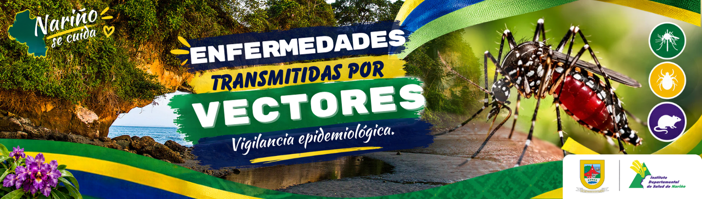 banner vectores